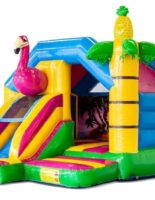 Slide-Combo-Flamingo-Springkussen-1